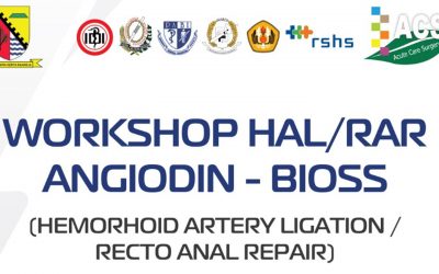 Acute Care Surgery – ANGIDOIN Workshop (HAL/RAR Method)